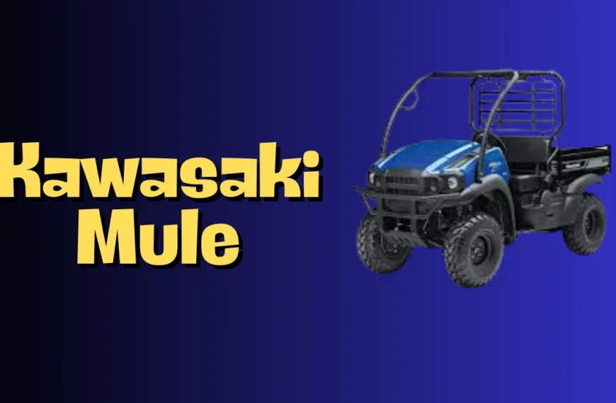 Kawasaki Mule