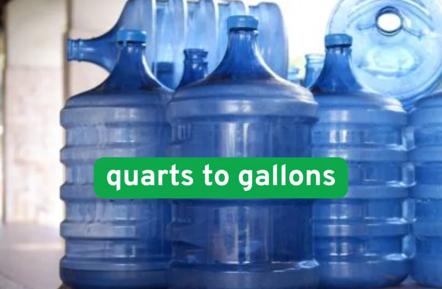 Side-by-side image of a quart and gallon container used in the kitchen
