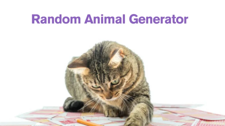 Cat revealed by random animal generator, showcasing the tool’s surprise and charm in every click.
