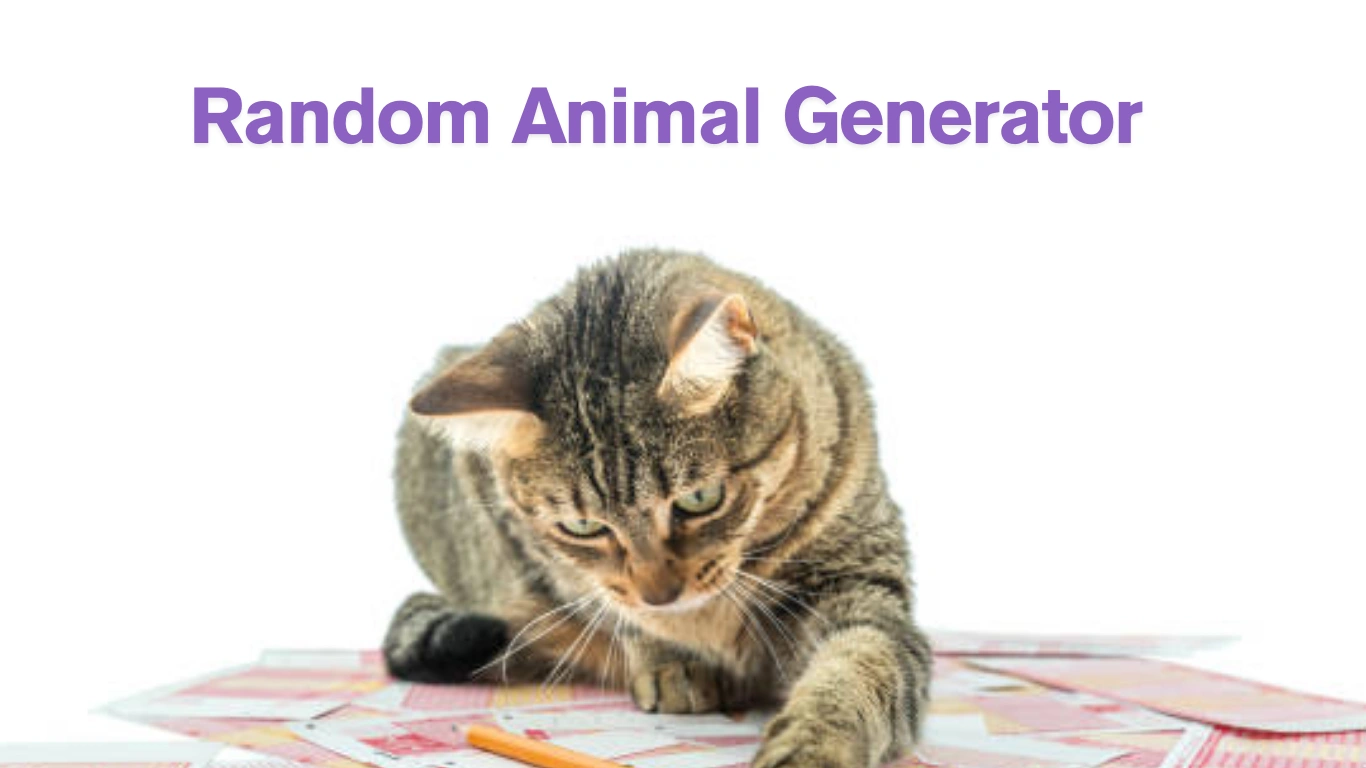 Cat revealed by random animal generator, showcasing the tool’s surprise and charm in every click.