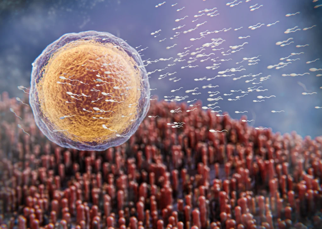 Real-Life Importance of Animal Cells