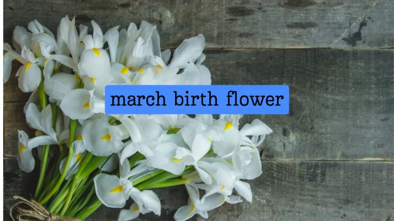 march birth flower