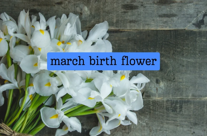 march birth flower