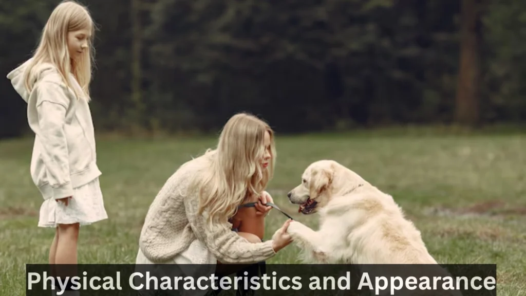 Physical Characteristics and Appearance
