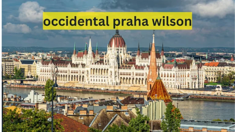 occidental praha wilson