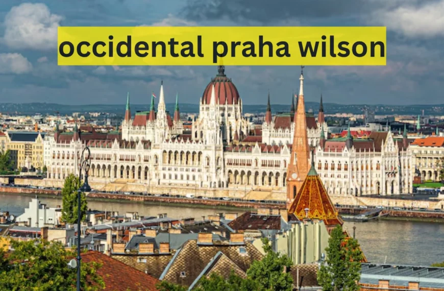 occidental praha wilson