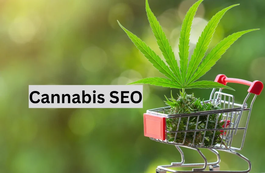 cannabis SEO