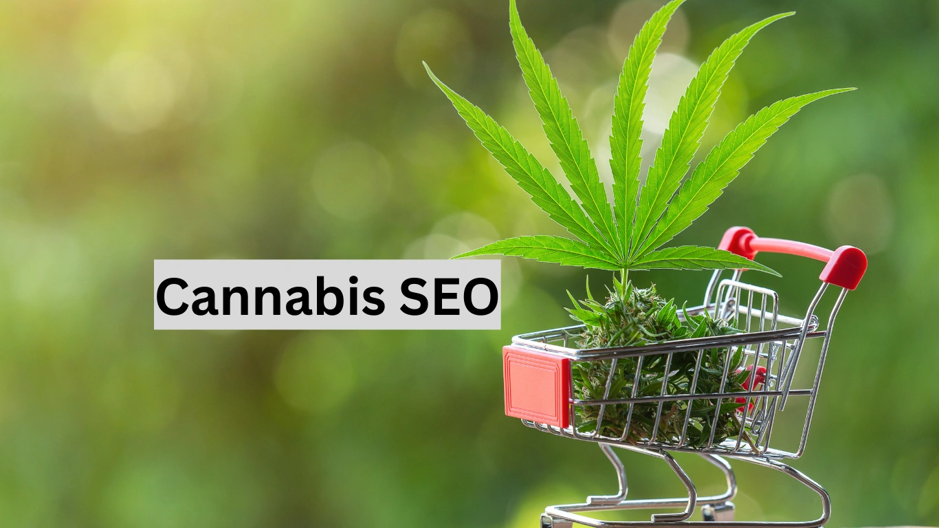cannabis SEO