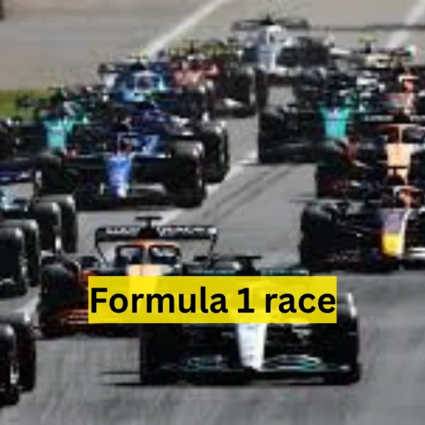 Formula 1 race
