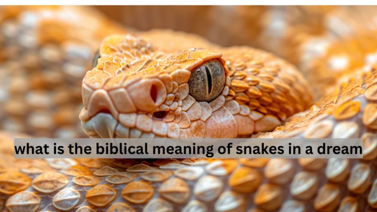 what is the biblical meaning of snakes in a dream