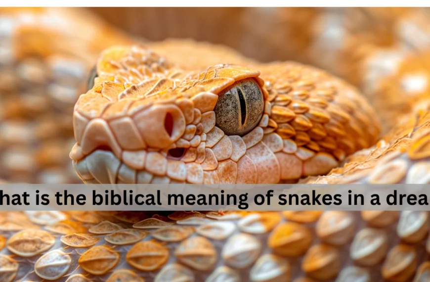 what is the biblical meaning of snakes in a dream
