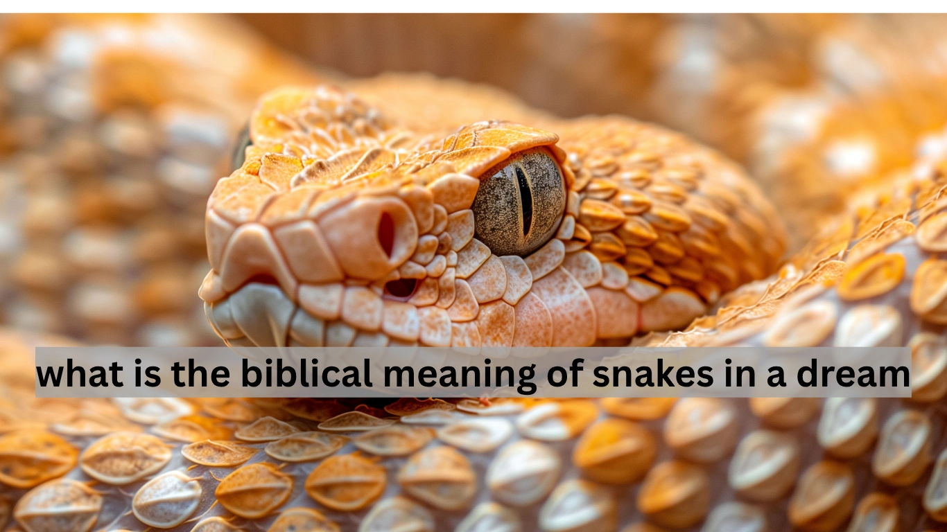 what is the biblical meaning of snakes in a dream