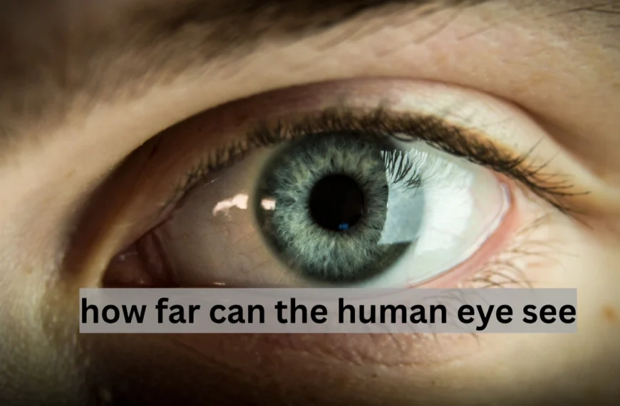how far can the human eye see