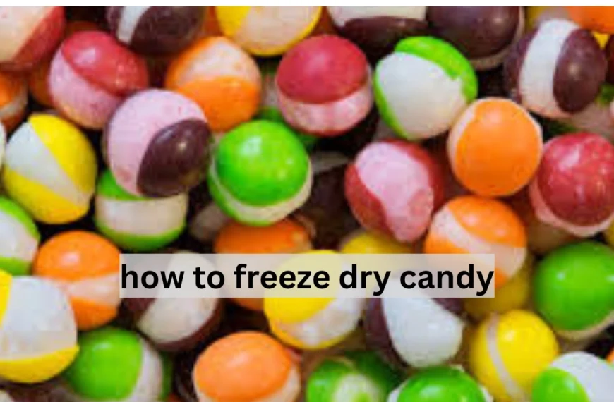 how to freeze dry candy