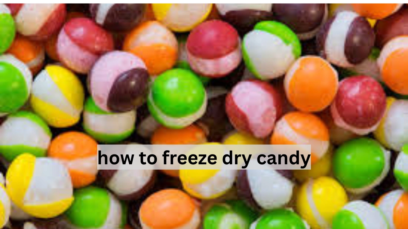 how to freeze dry candy